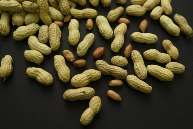 FYI, Peanuts Aren't Even Nuts, And THIS Is How They Really Grow