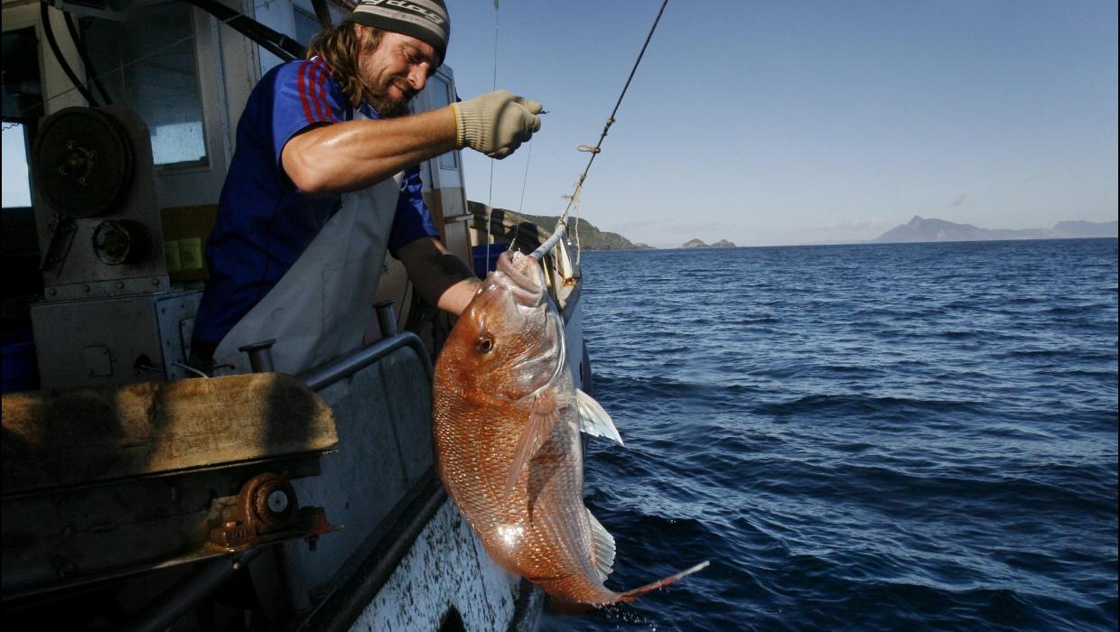 SeaSick: Is the quota system the best way to sustain our fisheries for  future generations?
